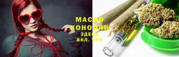 дмт Ладушкин