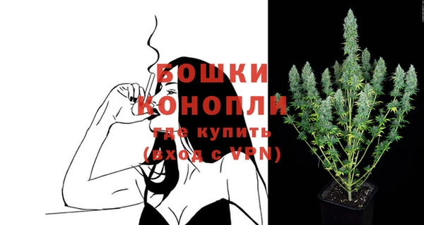 дмт Ладушкин