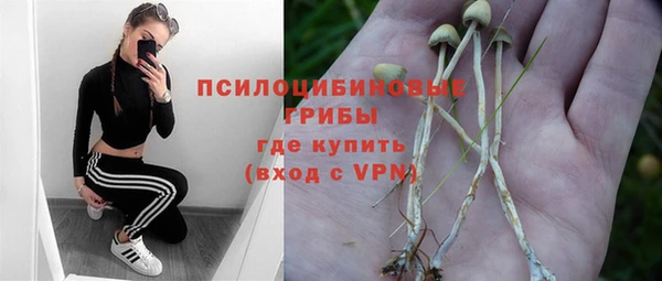 дмт Ладушкин