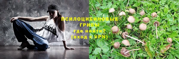 дмт Ладушкин