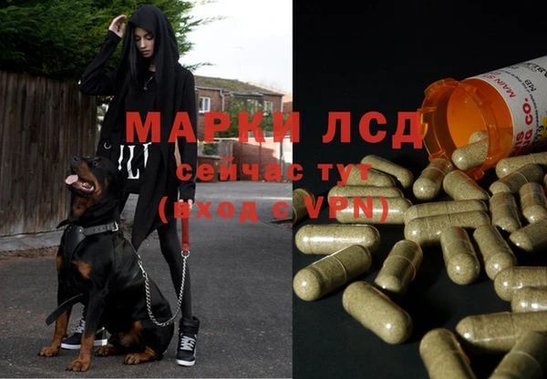 гашик Лабытнанги
