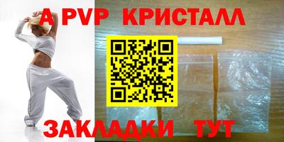 скорость Кингисепп