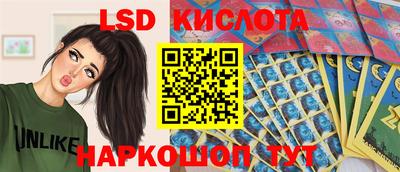 винт Кимры