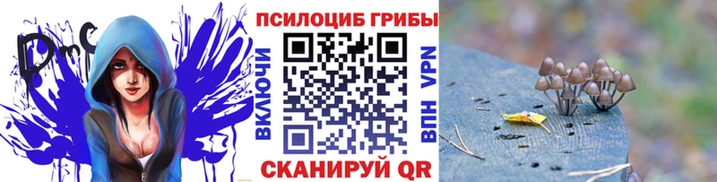 Галлюциногенные грибы GOLDEN TEACHER KRAKEN рабочий сайт Хасавюрт наркотики