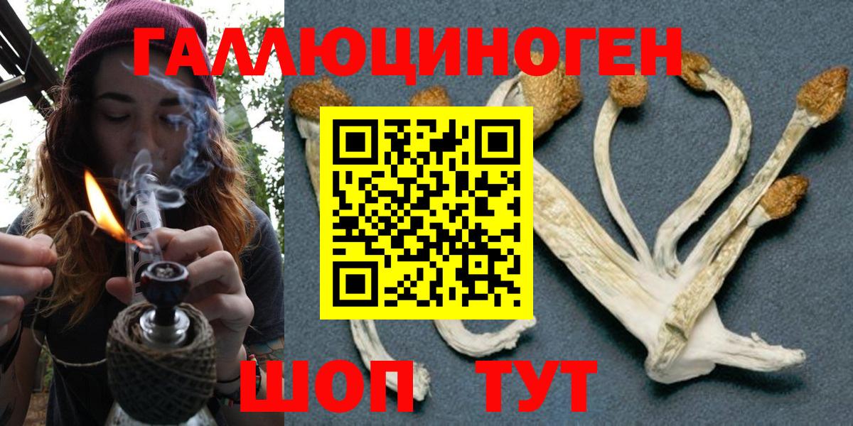 Хасавюрт  Галлюциногенные грибы ЛСД  Вход с VPN 
